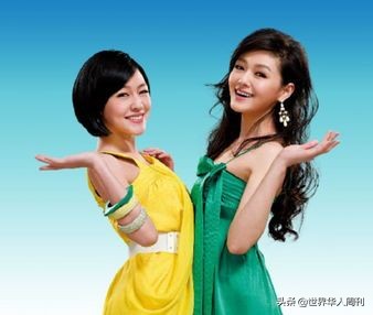 大s汪小菲宣布离婚最好的分析,台湾媒体谈汪小菲和大s离婚事件