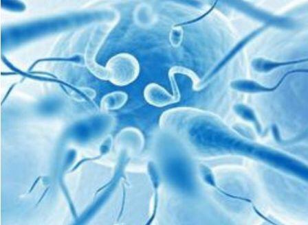 10个让人震惊的冷知识,最有趣的10条冷知识点