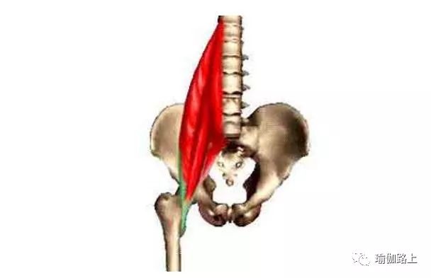 腰部瑜伽深度拉伸预防腰痛效果好,腰痛的拉伸方法之一髂腰肌拉伸