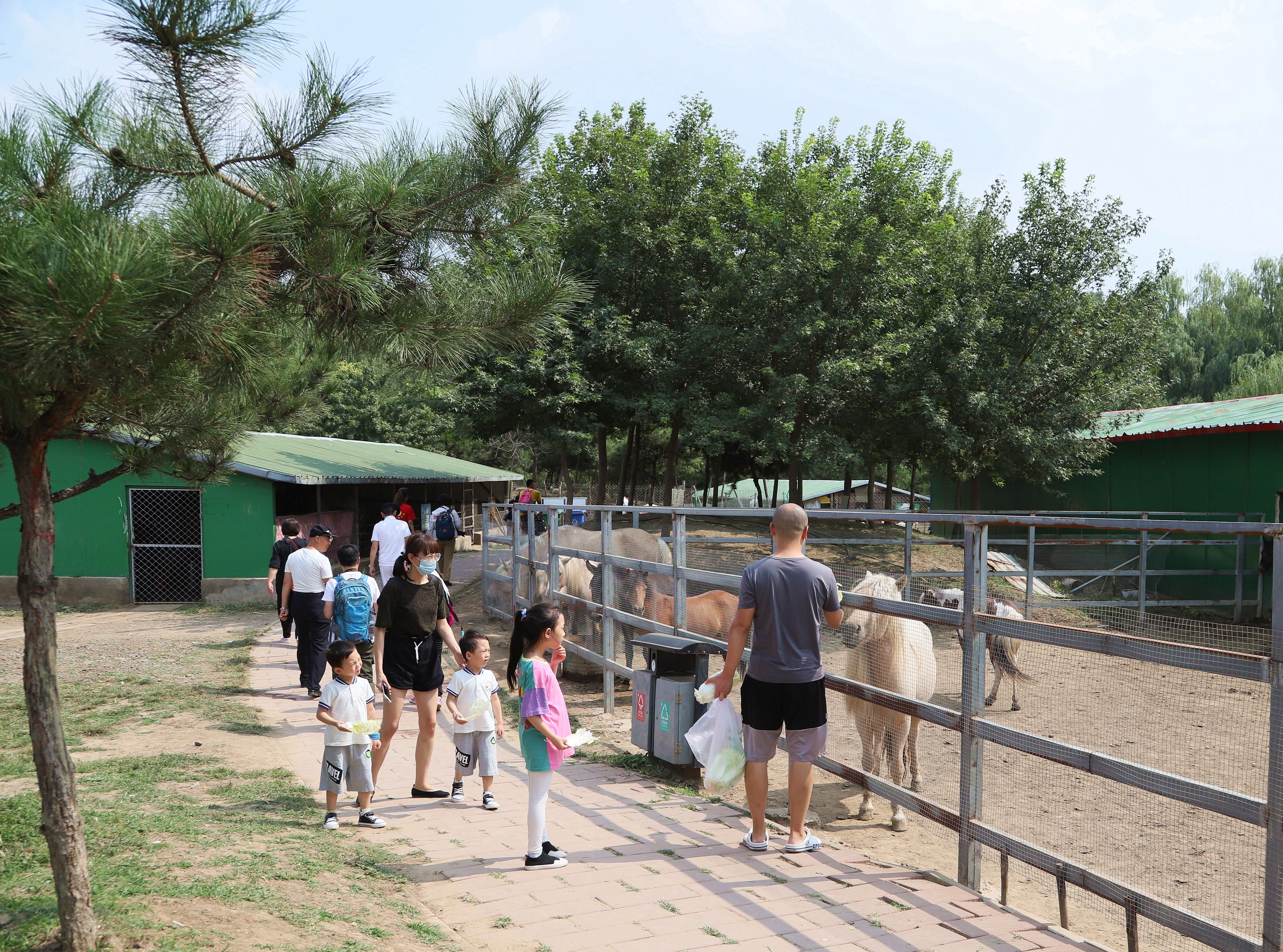 在心灵的栖息地遇见第五季