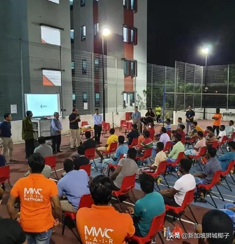 新加坡隔离一日三餐伙食,新加坡高档隔离餐