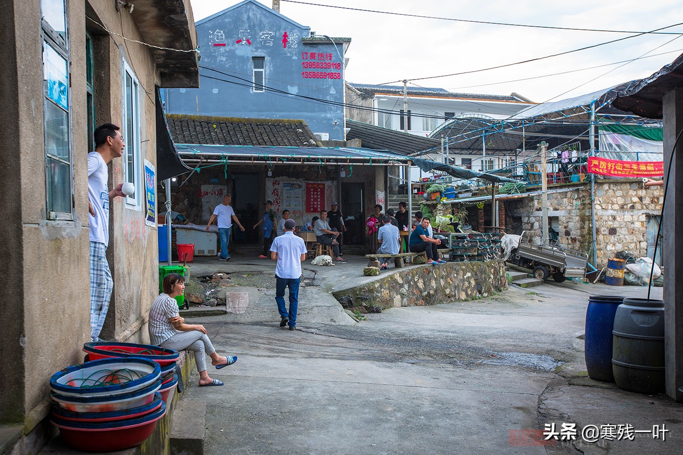 大黄鱼浙江人,浙江鱼民捕获8.7公斤野生大黄鱼