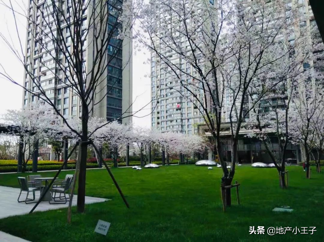 三线城市学区买房值得吗,三墩最新学区房