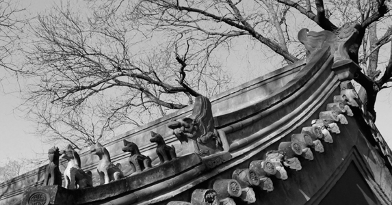 捡到一个漂流瓶小说,我捡到了一个漂流瓶