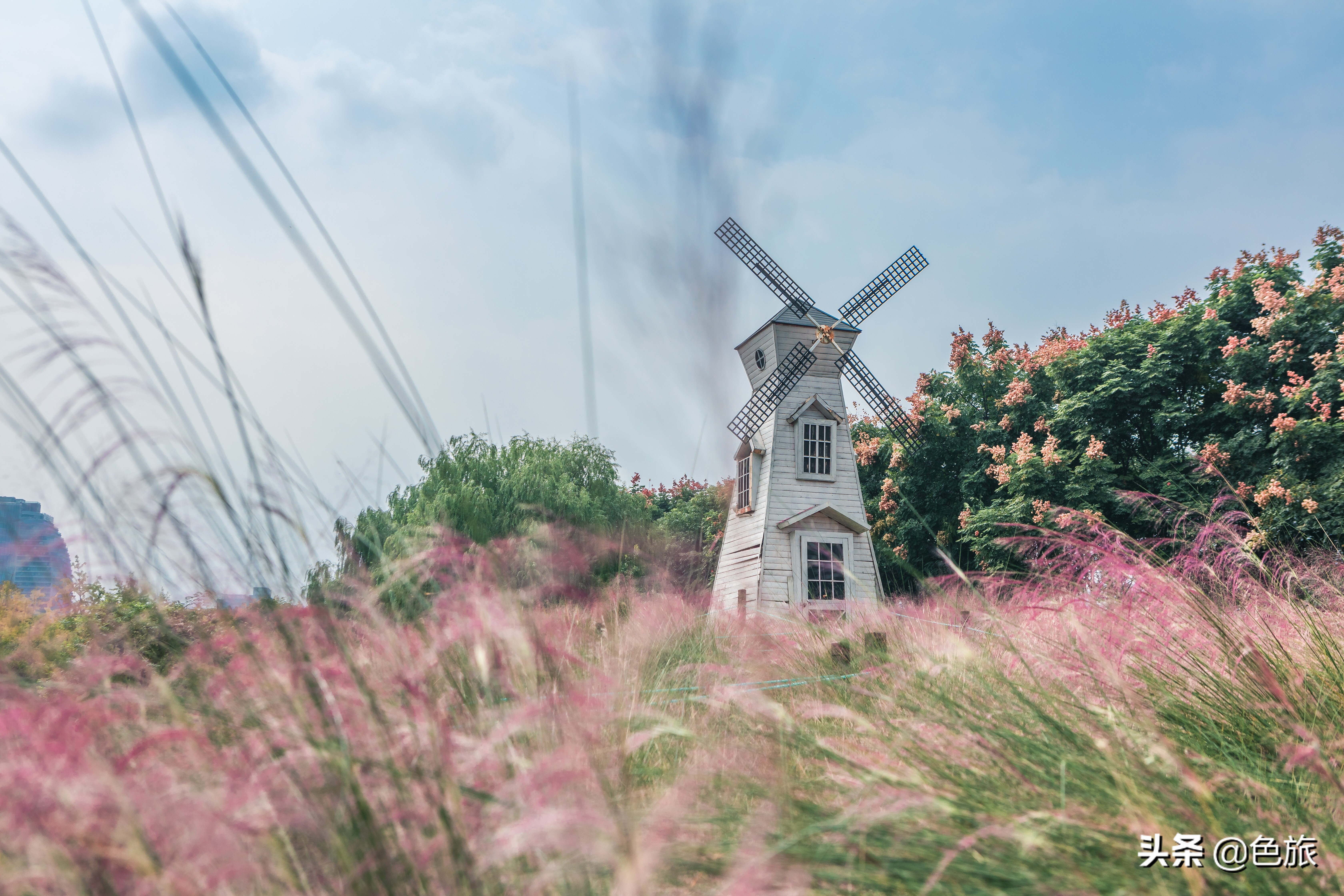 杭州花海网红打卡,杭州粉黛花海打卡地