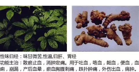 常用中草药名称大全图片及药效,常用中草药药效大全