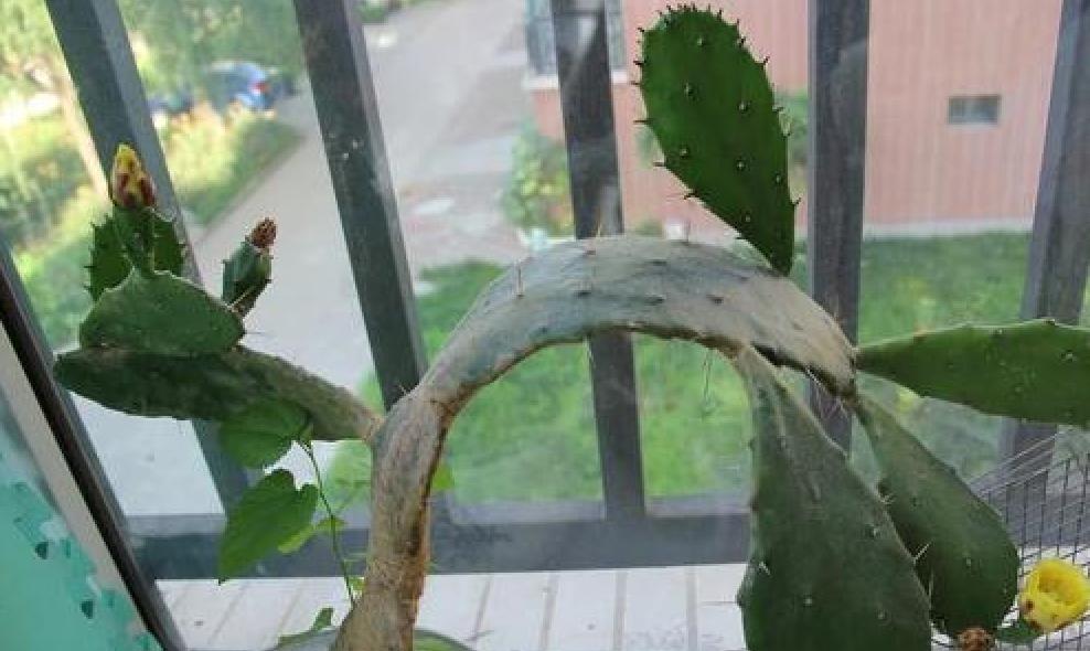 冬天空调病有哪些症状,冬天空调病最佳治疗方法