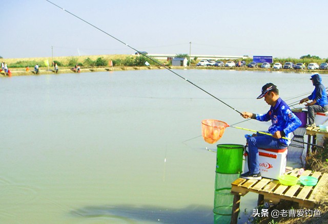 为什么黑坑钓鱼老是钓不到鱼,黑坑钓鱼没口原因及解决方法