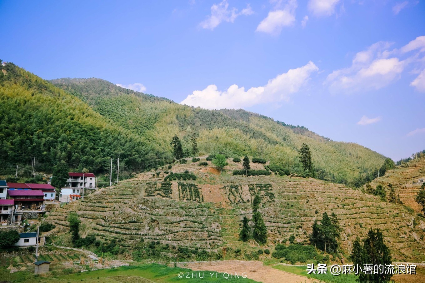 最早的抹茶是什么茶做的,日本抹茶源于中国唐宋的点茶法