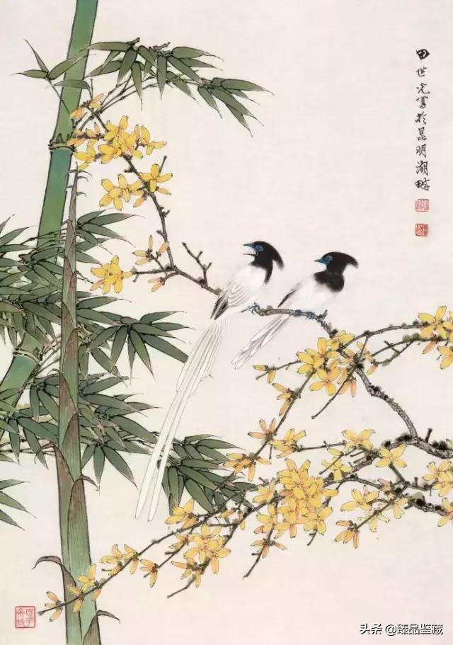 工笔大师田世光,工笔画大师田世光画孔雀好美