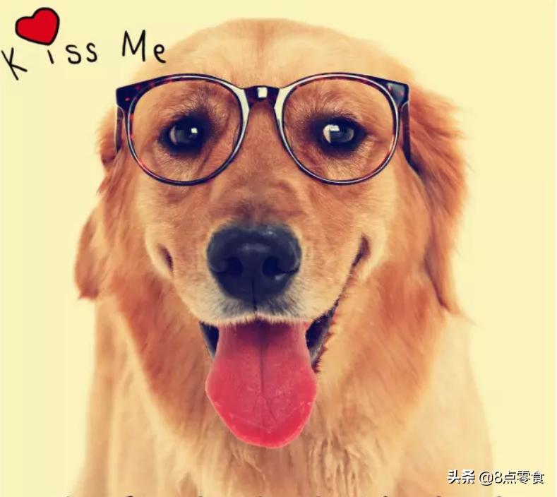 狗粮推荐16款热门狗粮测评,美国进口狗粮十大排行