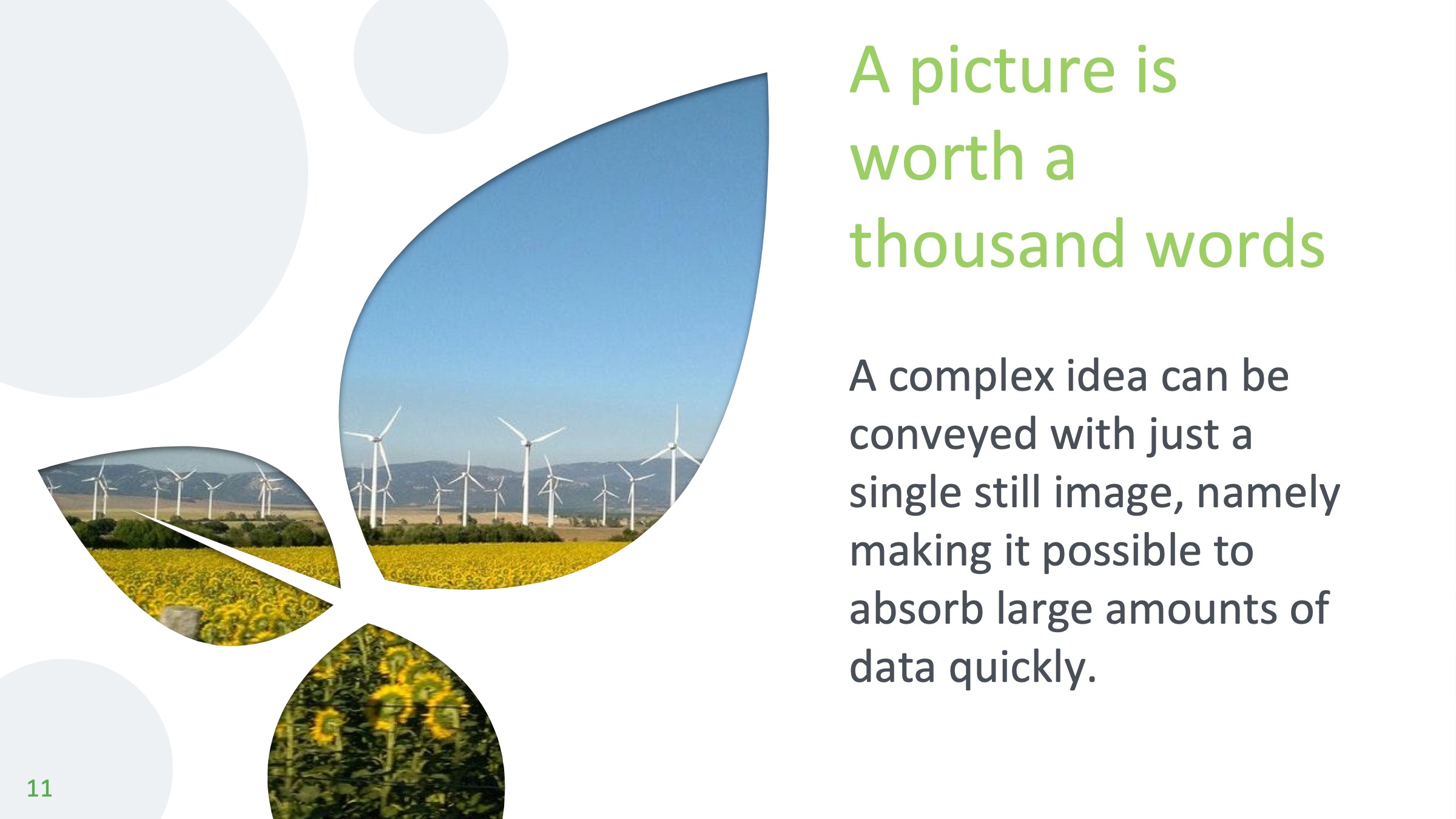 妞嶇墿杈规ppt妯℃澘,灏忓鐢熸鐗﹑pt妯℃澘