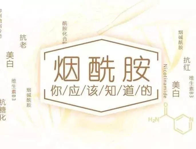 关于这个神仙成分，你不能不知道的秘密