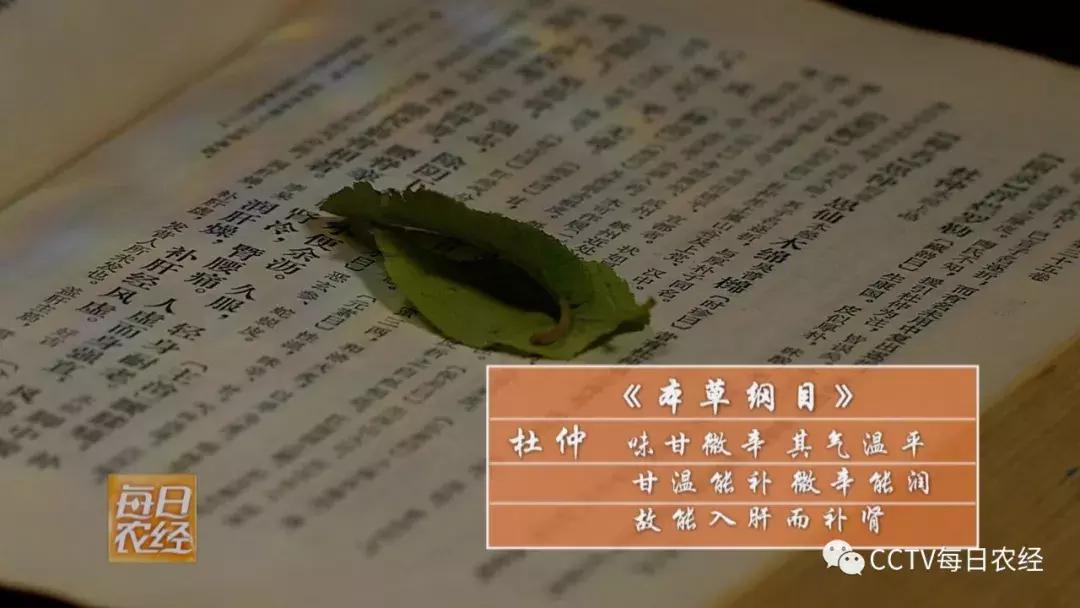 吃得了杜仲，卖的出价钱的羊