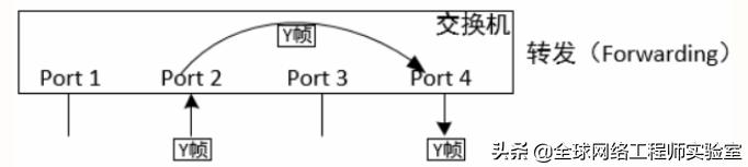 0基础学习交换机,0基础学习网络工程师要先学什么