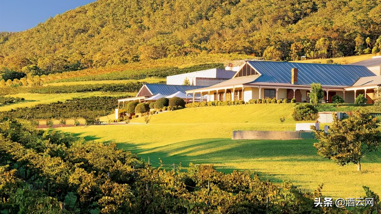 澳洲百年名庄艰难*身卖**记,一桩被中国买家耽误的收购案...