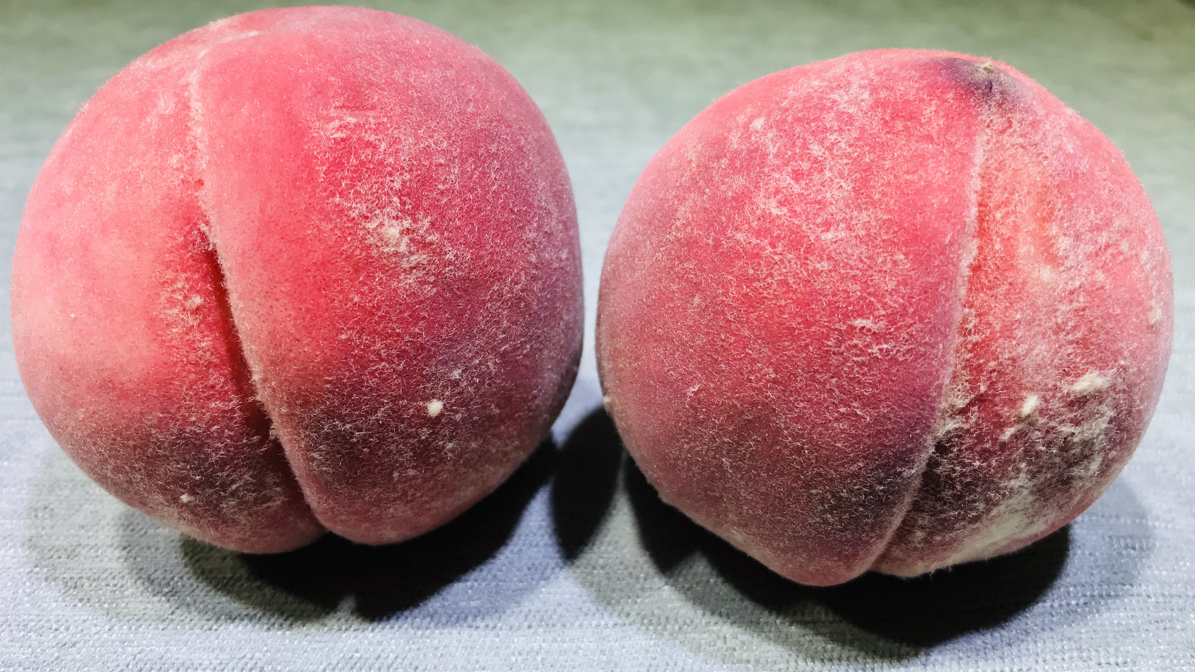 桃子增甜的最好办法,桃子甜又多汁的秘诀