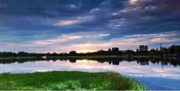 双流有房子孩子可以就近读书吗,成都双流区孩子上学怎么样