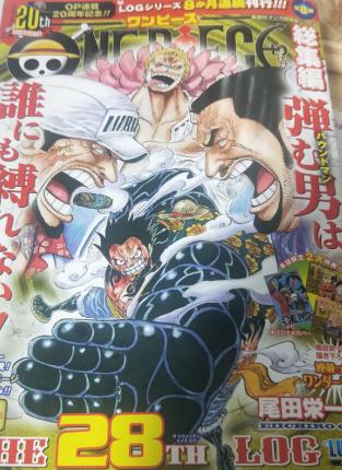 海贼王书籍选择 (海贼王书籍排名)