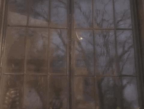 狗狗也有空调病,狗得空调病的症状