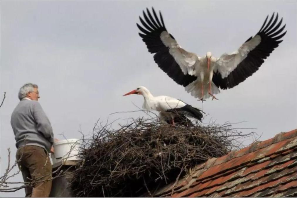 18年感人的爱情故事视频,18年感人的爱情故事