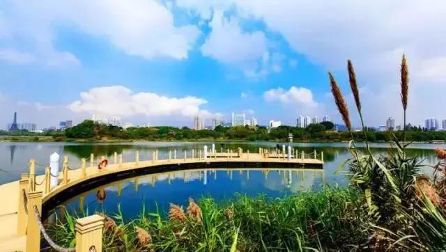 深圳十佳免费湿地公园,深圳十大免费公园排行榜最新名单