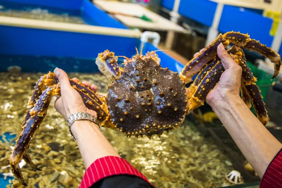 潮汕正宗新鲜牛肉多少钱一斤,新鲜牛肉零售价