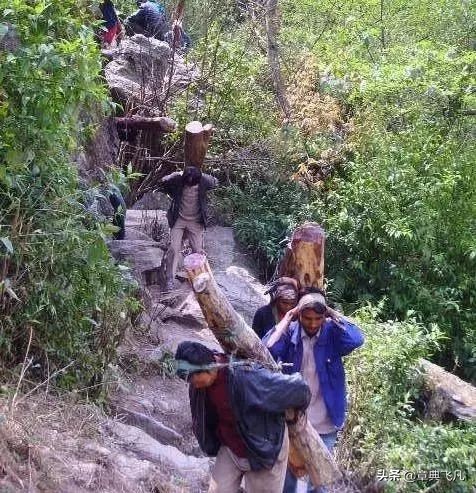 印度人都开的什么车,印度人是怎么坐火车的