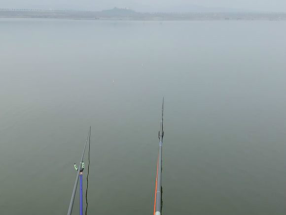 只能钓小鲫鱼为什么钓不到大鲫鱼,野钓鲫鱼很难钓到半斤以上的鲫鱼