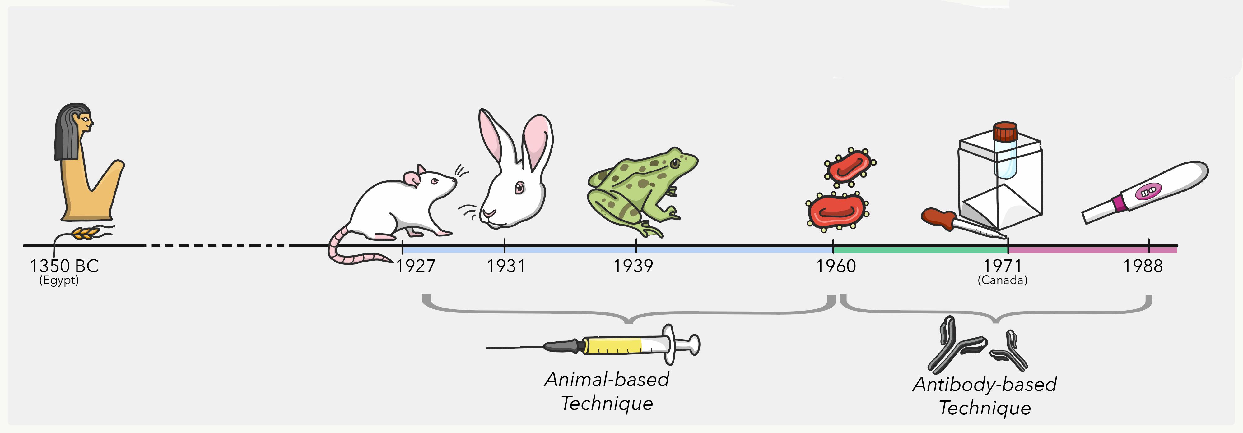 塞洋葱、尿淋麦子，古代人验孕花样，甚至把青蛙整灭绝了？