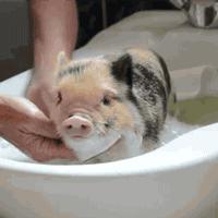 买燃气热水器需要问什么避免被坑,买燃气热水器怎么避免被坑