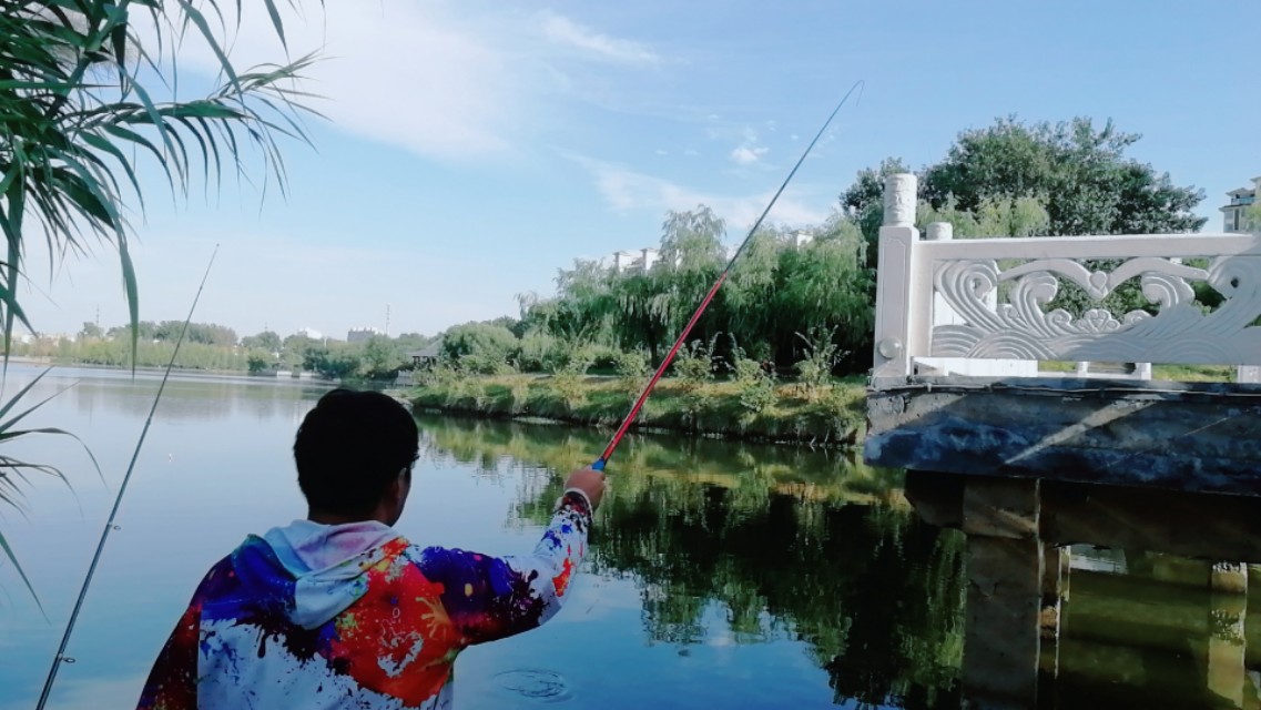 钓鱼装备全套整理渔具选择,在渔具店买钓鱼的装备