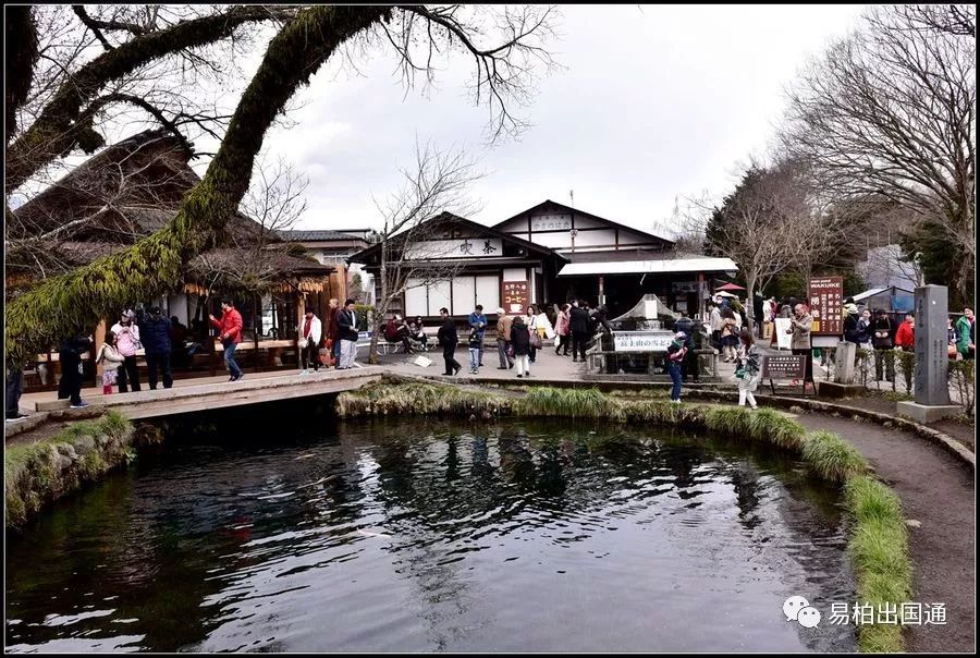 出国劳务日本食品加工,出国劳务日本