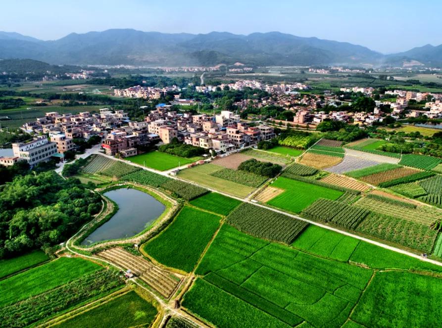 1987年广州第一个农村股份组织,广州农村集体经济组织