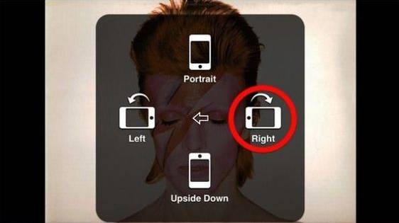 3-6岁儿童益智手工玩具鞋盒,幼儿园鞋盒里的动物世界手工作品