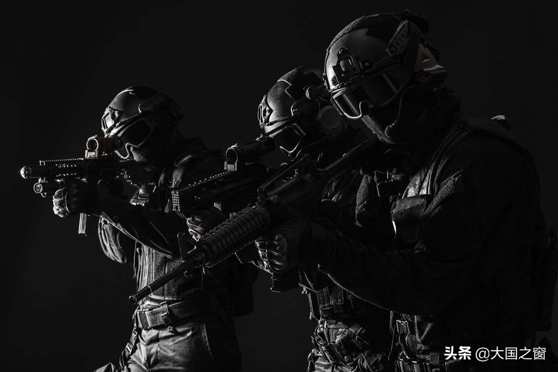 特种兵退役后还会随时待命吗,特种兵退役后干嘛去了