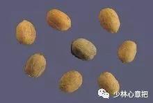 中药药材大全及功效,补肾中药大全及功效