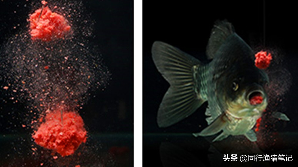 鱼饵的正确挂钩方法,鱼饵怎么挂钩容易钩到鱼