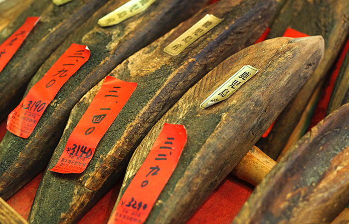 瀹冭绉颁负瓒呯骇椋熺墿,瀹冭瑾変负澶╀笅缇庨