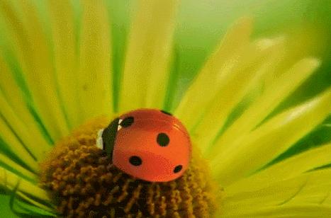 能长上流社会见识的纪录片,有什么可以增加见识眼界的纪录片