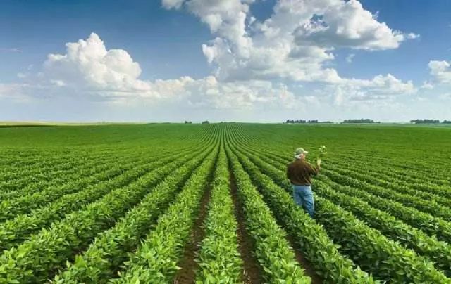 中国有机农业的道路应该如何寻找,有机农业中国农业