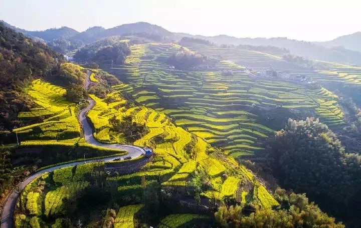 周末玩洱海,假期去大理洱海旅游