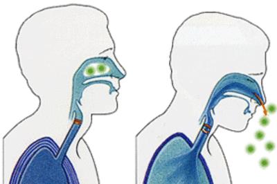 鼻炎患者「换季自救指南」:这几个“通窍”方法可以一试