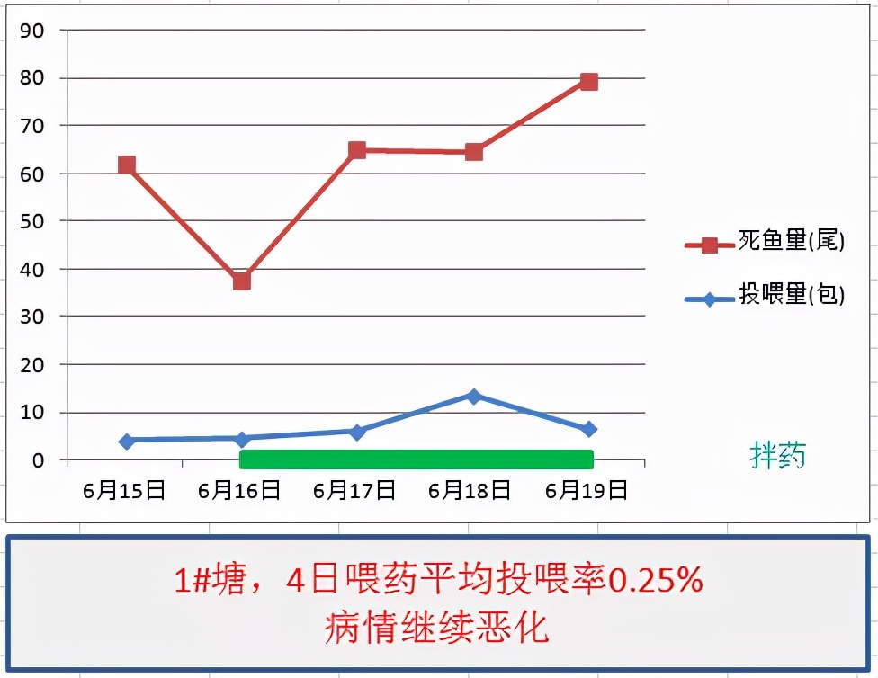 鱼得了肠炎还能活多久,生鱼烂身治疗