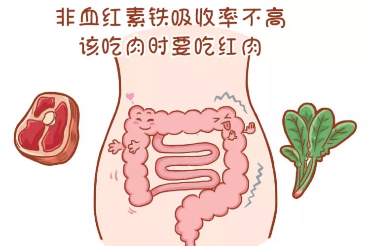 孕期缺铁性贫血怎么回事,孕期缺铁会导致胎儿贫血吗