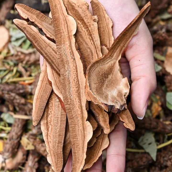 自制超火爆的网红甜品有哪些,顺德传统甜品双皮奶