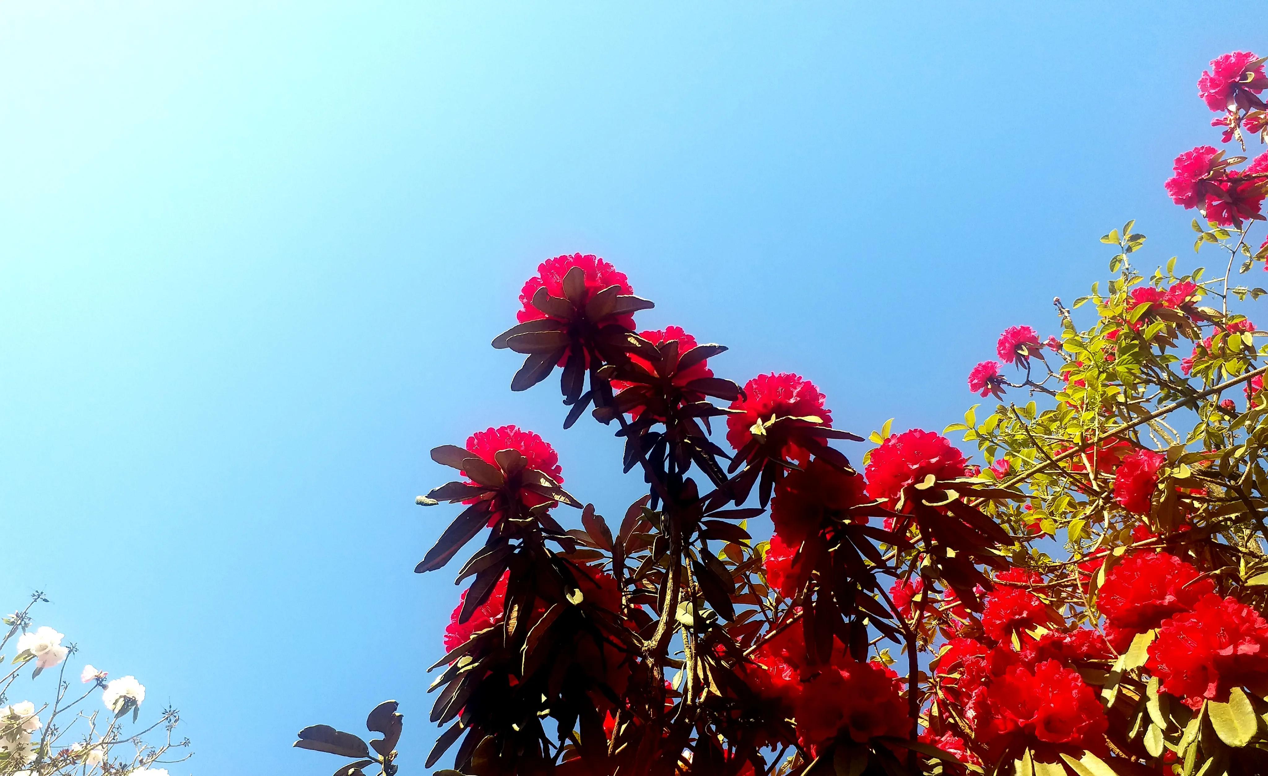 毕节五日游,贵州毕节五日游攻略