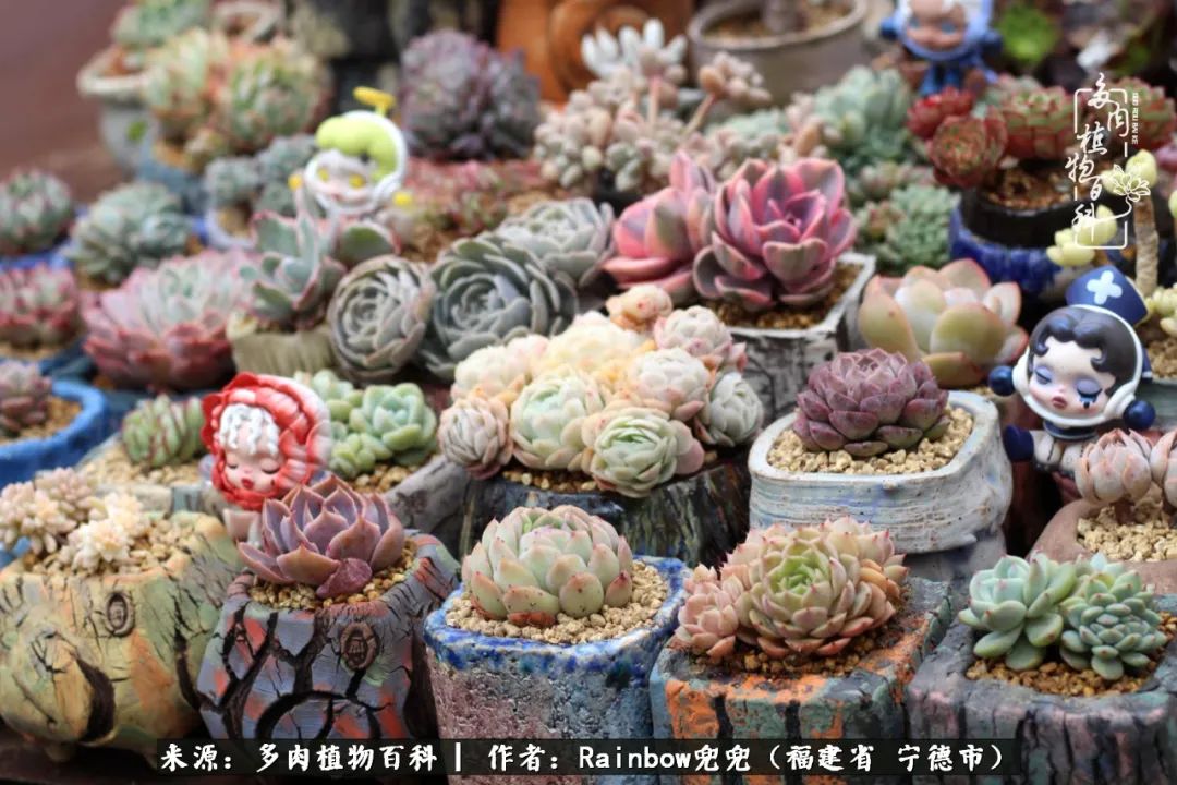 岁月无波澜余生不悲欢是啥意思,愿你岁月无波澜敬我余生无悲欢