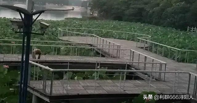 九江和中广场最新动态,九江市和中广场位置