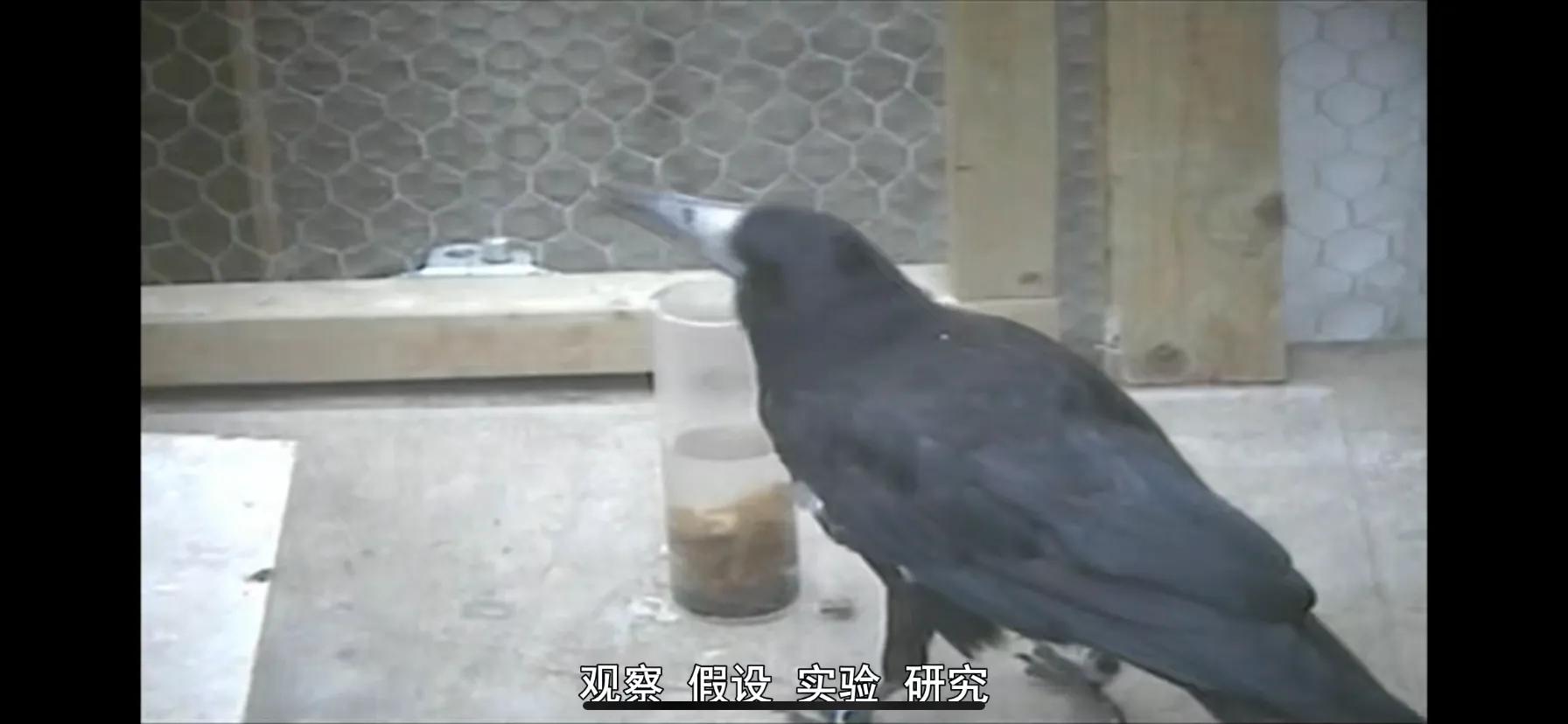 推荐日本训练孩子思维的书籍,可以让孩子提高认知的书